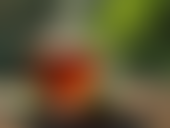 Kratom tea blend with other herbs