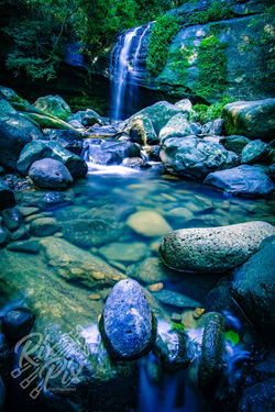 Buderim Falls, Sunshine Coast Hinterland