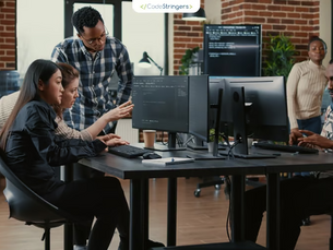 Offshore Software Development Guide: Insights and Essential Information