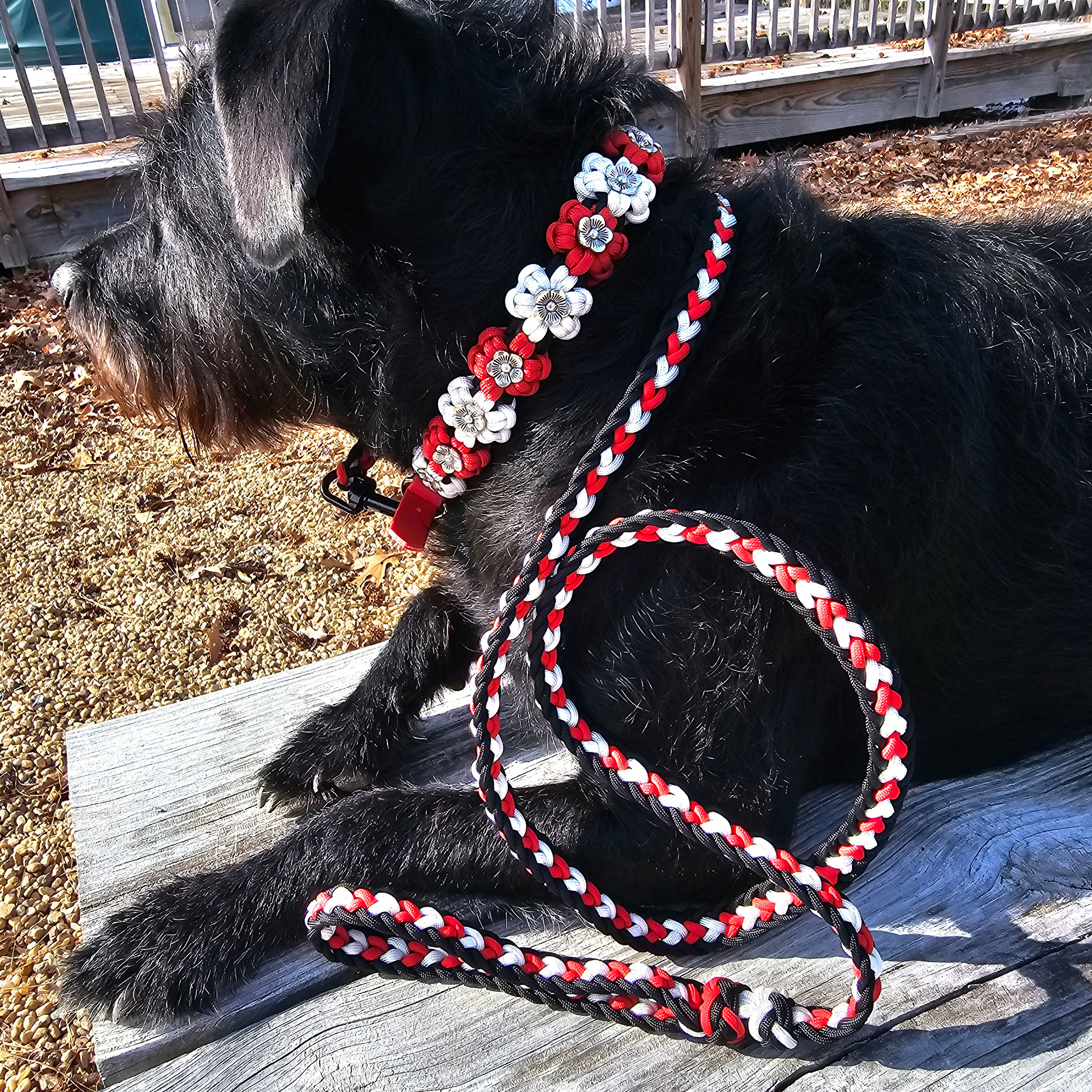 Hearts and Bloom Collar