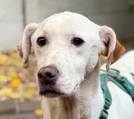 Screenshot 2025-12-17 092953bc.jpg