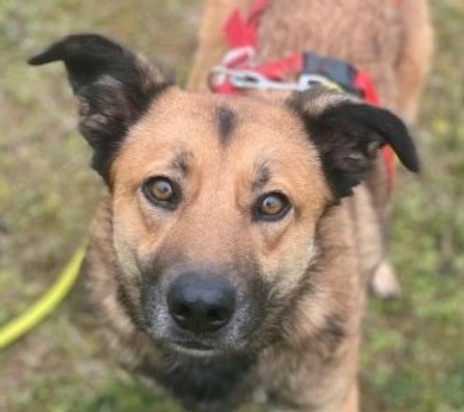 Screenshot 2025-12-17 083423b.jpg