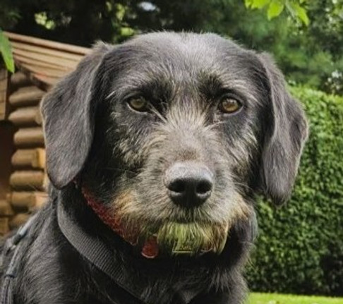 Screenshot 2025-12-17 084350b.jpg