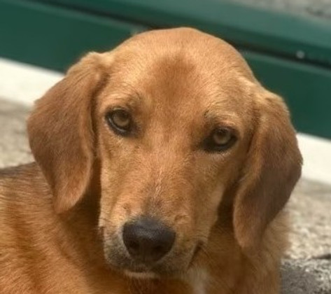 Screenshot 2025-12-17 093325b.jpg