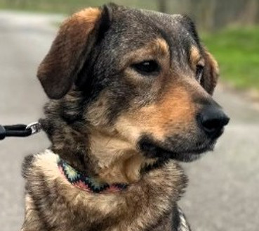 Screenshot 2025-12-17 084207b.jpg