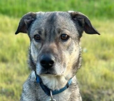 Screenshot 2025-12-17 092008b.jpg