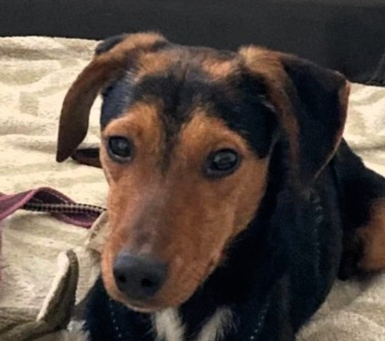 Screenshot 2025-12-17 093847b.jpg