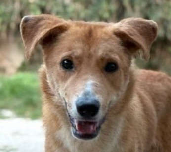 Screenshot 2025-12-17 095244.jpg