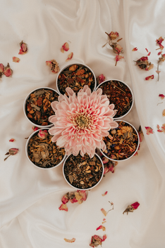 Capture d’écran 2022-07-13 à 21.04.01.png