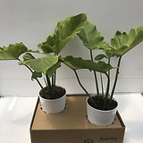 写真 2019-05-22 11 14 09.jpg