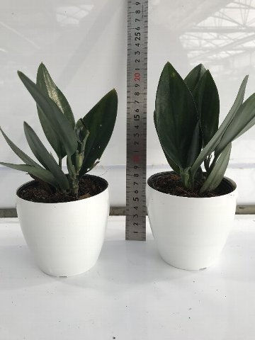 写真 2019-04-26 16 06 30.jpg