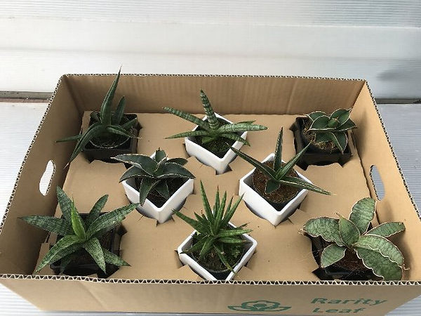 写真 2018-12-28 11 09 50.jpg