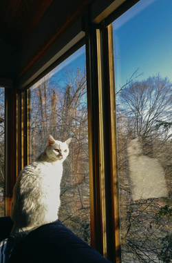 Lucie, portrait