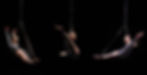 Aerial Act Banner.jpg