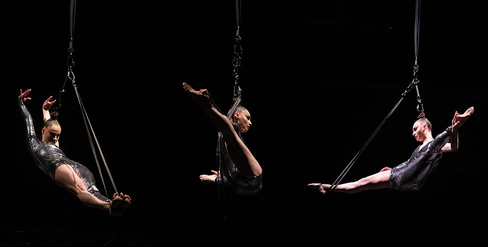 Aerial Act Banner.jpg