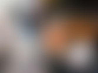 Animal Safari Adventure Club