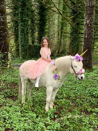 Unicorn Party, live animals wiith Earth 