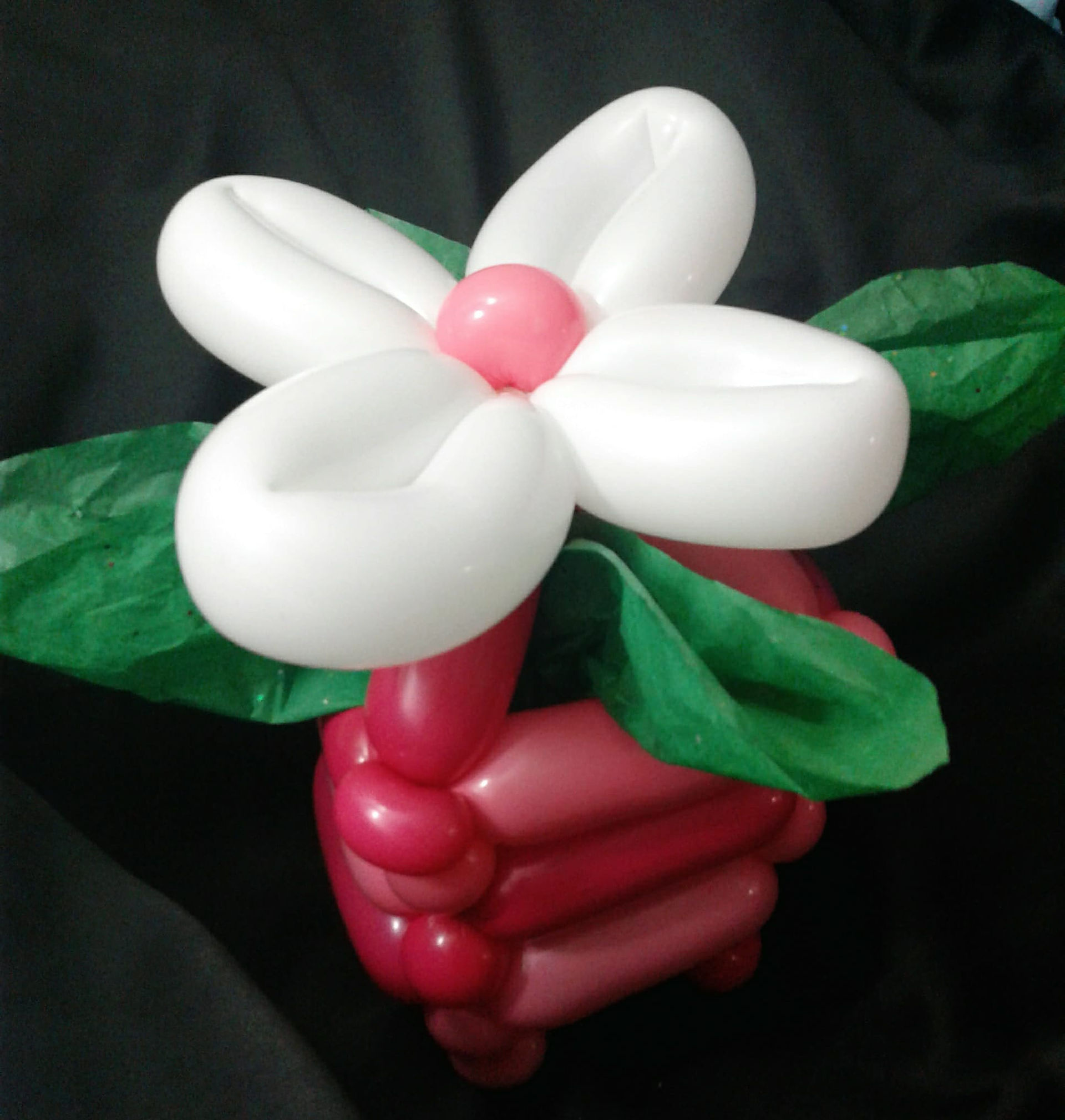 Gift wrap from balloons by  balloon twister in Portland Oregon with Earth Fairy Entertainment for hire, corporate entertainer, birthday party, Hillsboro