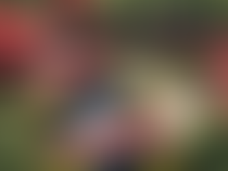 Supporting the Japanese Community: JB Line's Mission