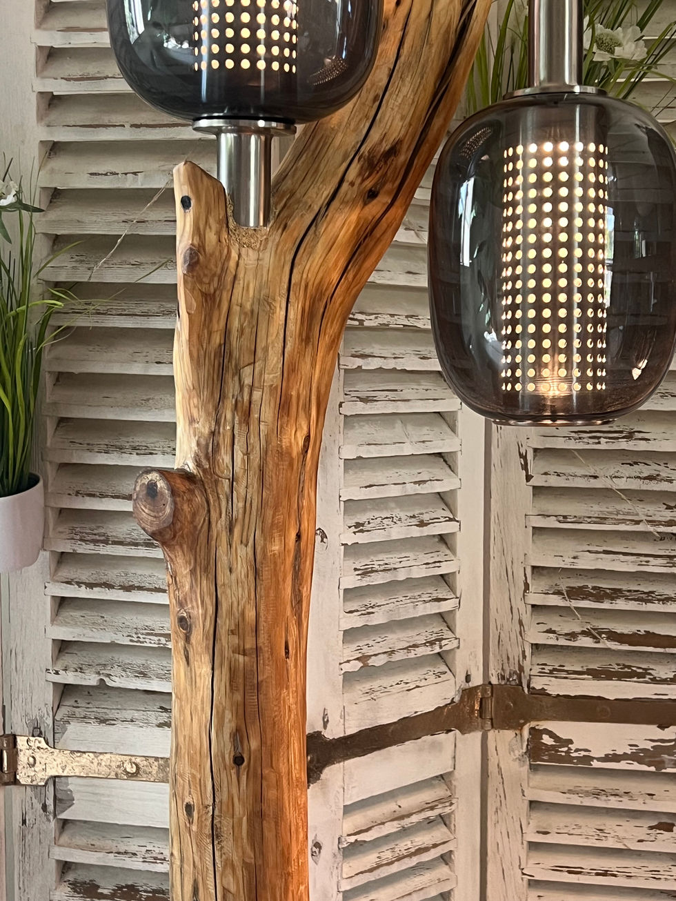 Vue des deux sources lumineuses modernes intégrées au tronc de bois brut d'Albireo.