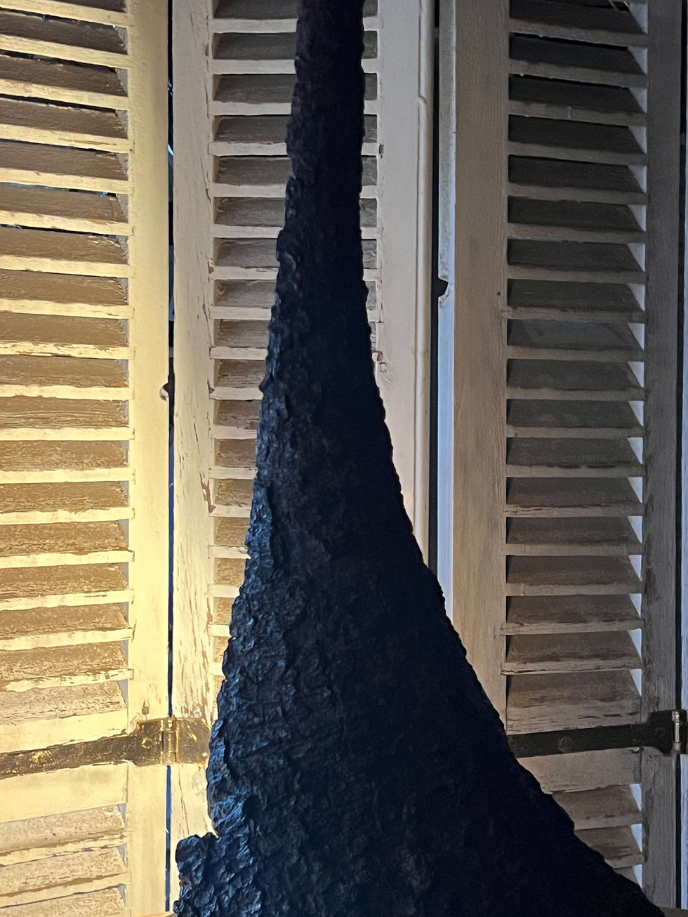 Base de la lampe Lyra, détail de la texture de l'écorce de bois naturel sur socle noir.