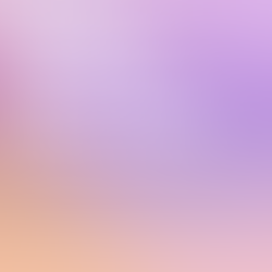 IEPs and 504 plans: What Parents Should Know