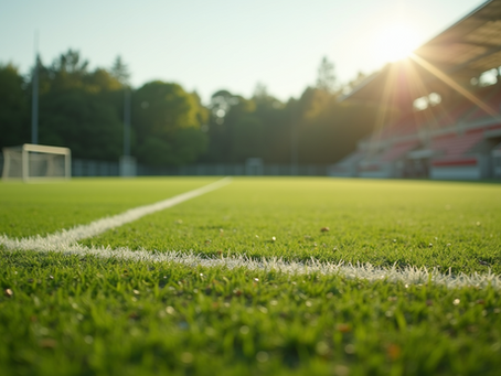 Elite Athlete Mentorship Service