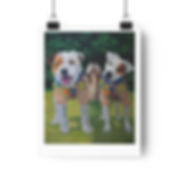 PupScouts