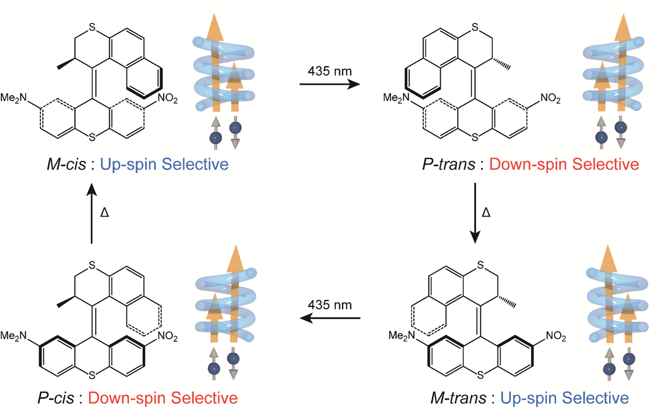 Light-driven molecular switch for reconfigurable spin filters