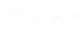 new-wave-small.png