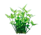 images__1_-removebg-preview.png