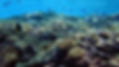 PHOTO - SWAINS_AMSM - 2010 - 3360x1602 - LANDSCAPE.jpg
