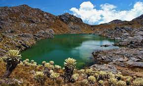 Paramo