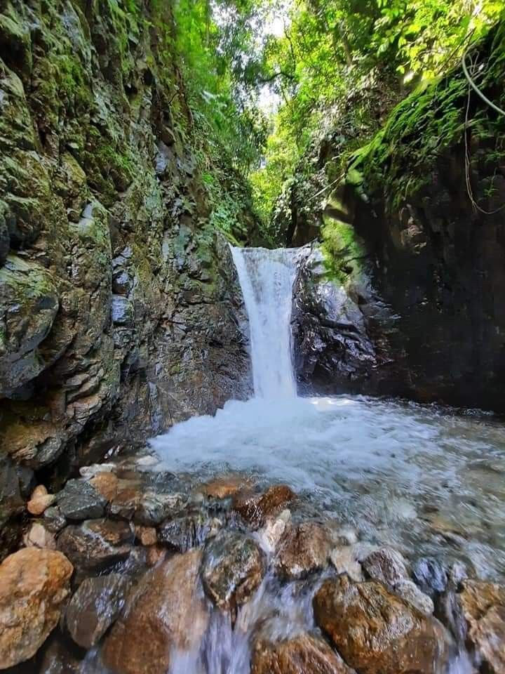 Cascada peronia bochalema