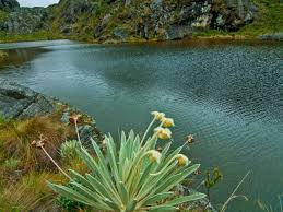 Laguna Santurban
