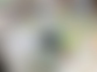 Draufsicht auf einen Schreibttisch, der übersät ist mit Bastelutensilien