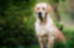 _DSC2845_quer.jpg