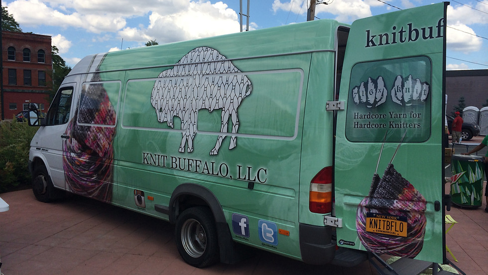 Tina Turner Knits Retreat: Knit Buffalo Visit