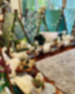 enchanted 10