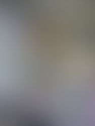 20F 連結事務所