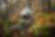 7fc8d2d7-c22d-4bae-b3c7-6f206547ce44.jpg