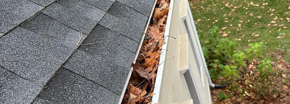 A house gutter full of leaves before being cleaned.