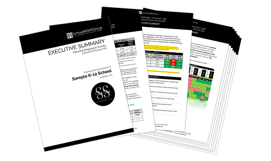 SchoolRIGHT Surveys Sample Report Icon
