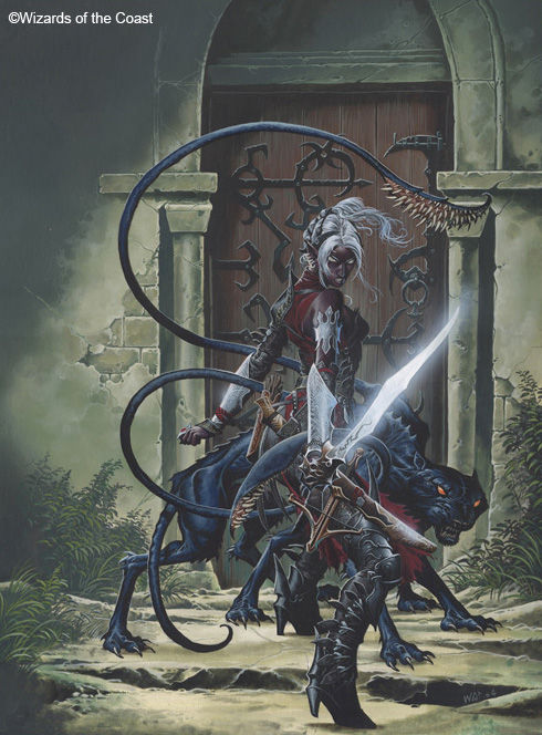 Drow Swashbuckler