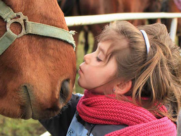 Horses for Hope: Equine-Assisted Therapy and Learning Centre