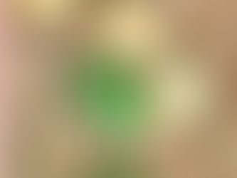 Rotting Melons and Seedlings