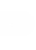 box logo pdf (2).png