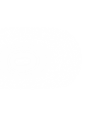 box logo pdf (2).png
