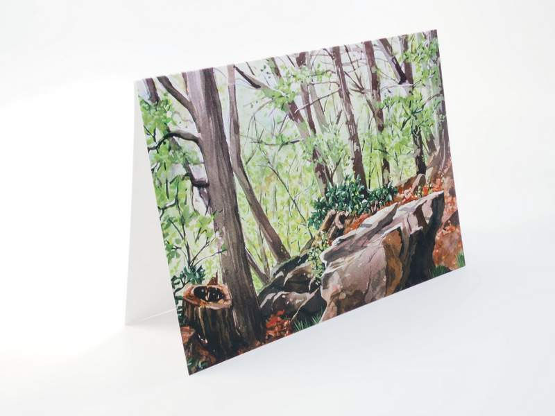 Thumbnail: Tax Exempt Card Pack | Adirondack Woods