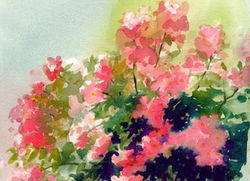 Rose Garden Cards Rainy Day Roses